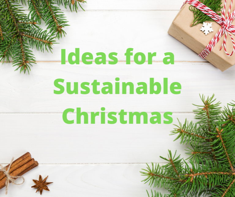 A sustainable Christmas Sustainable Newport Shropshire