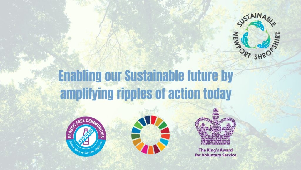 Background image of tree canoopy with Sustainable Newport logo of 3 fish, Plastic Free community approved logo, Sustainable Development Goal Wheel and Kings Award for Voluntary Service logo